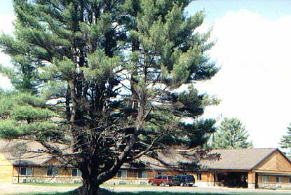 White Pines Lodge outdoor photo