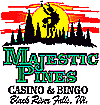 casino bingo logo